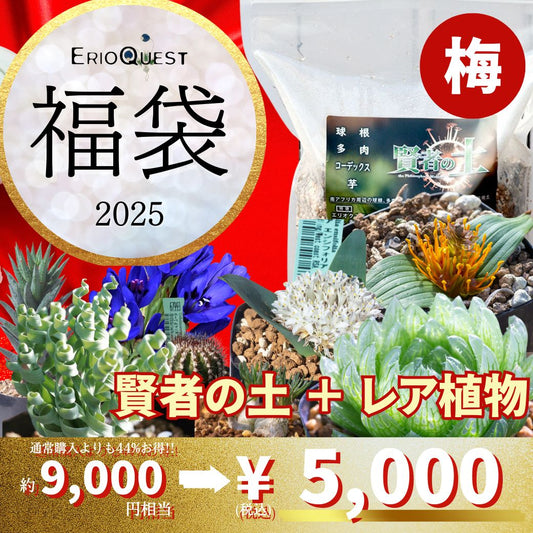 エリオクエスト 福袋 2025 賢者の土 園芸用土 土  観葉植物 植物 プレゼント ケープバルブ コーデックス サボテン 多肉 塊根 入門 初心者