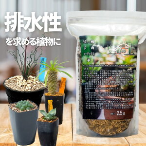 賢者の土 排水性抜群！多肉植物・塊根植物・アガベ等に！ – Erioquest